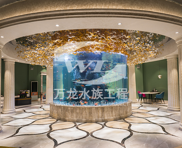 大型亚克力鱼缸对宠物安全吗？