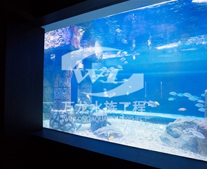 河南大型亚克力...