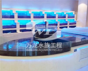 饭店鱼缸日常维护方法