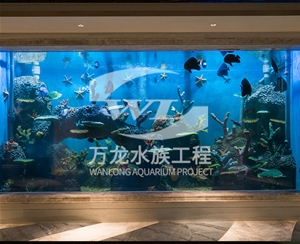 河南海底景观设计