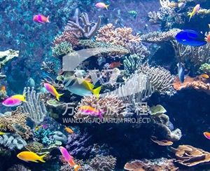 河南海底景观设计