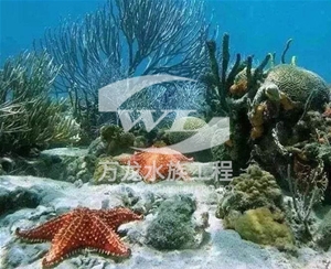 河南海底景观设计
