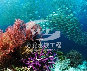 河南海底景观设计