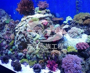 河南海底景观设计